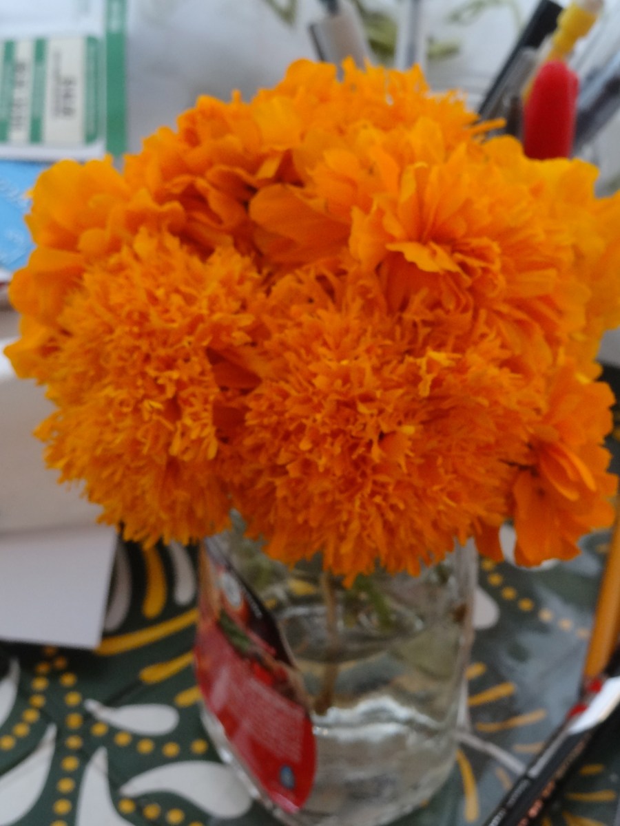 day of the dead flower